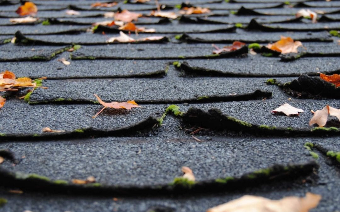 signs you need a new roof include curling shingles