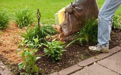 Spring Landscaping & Lawn Maintenance